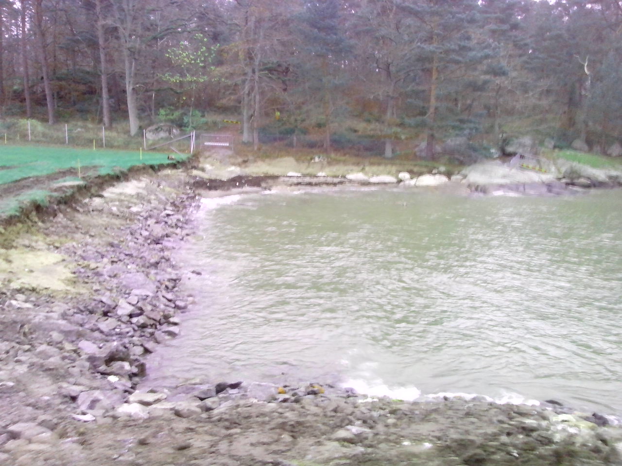 IMG_20141119_085907.jpg